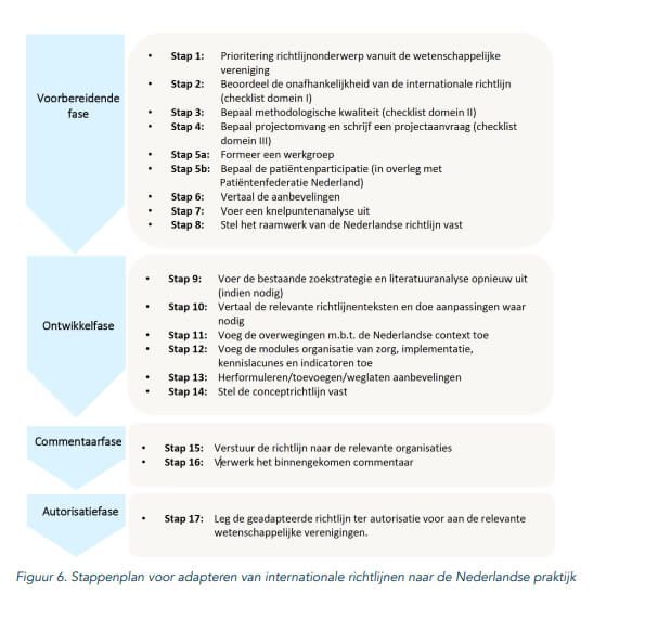 Stappenplan voor het adapteren van internationale richtlijnen naar de Nederlandse praktijk beschreven.
